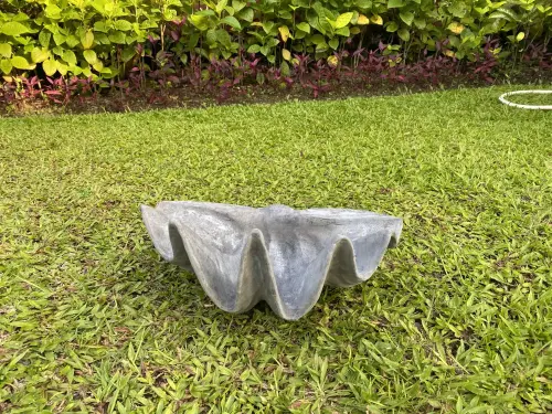 Product image of the product “Marina - Sea shells, 40cm L | cast stone ”